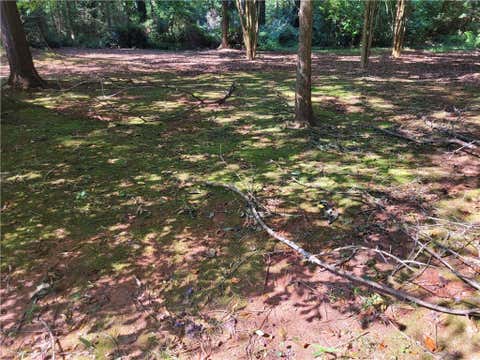 Vacant Land For Sale - 37 Knottywood Drive<br/> Lavonia, GA 30553