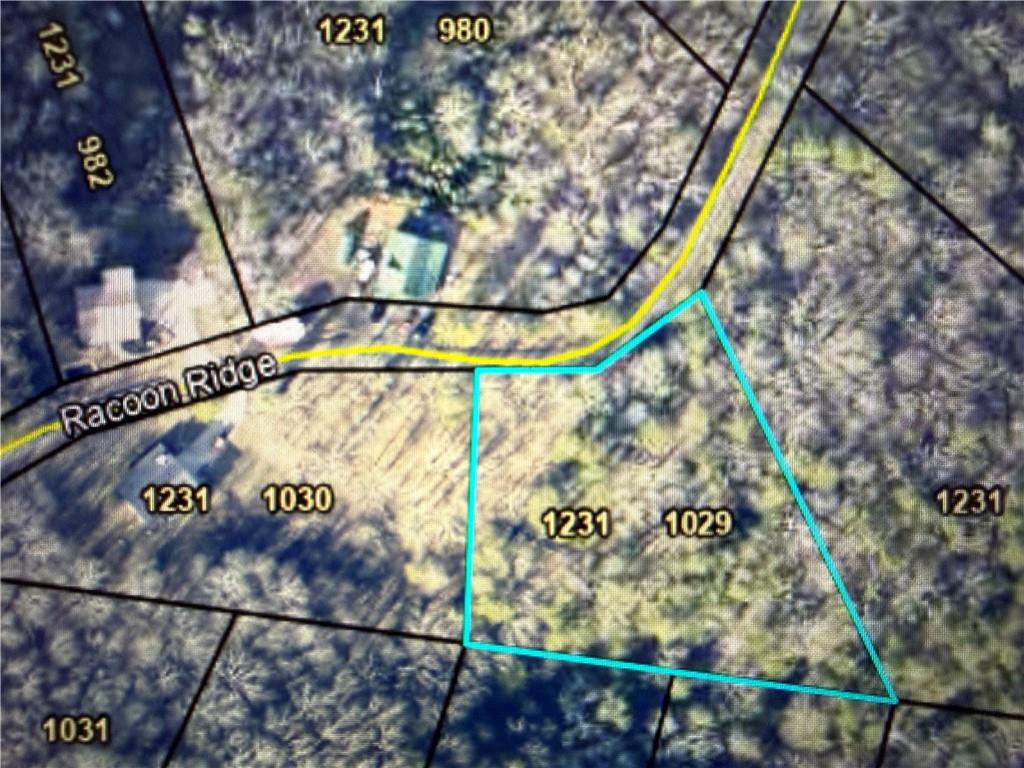 1029 Raccoon Ridge NE