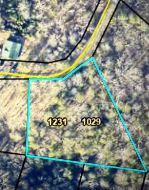 1029 Raccoon Ridge NE Ranger GA 30734