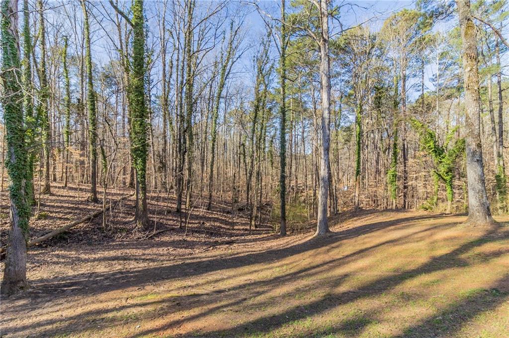 5845 Highway 92, Fairburn, Georgia image 36