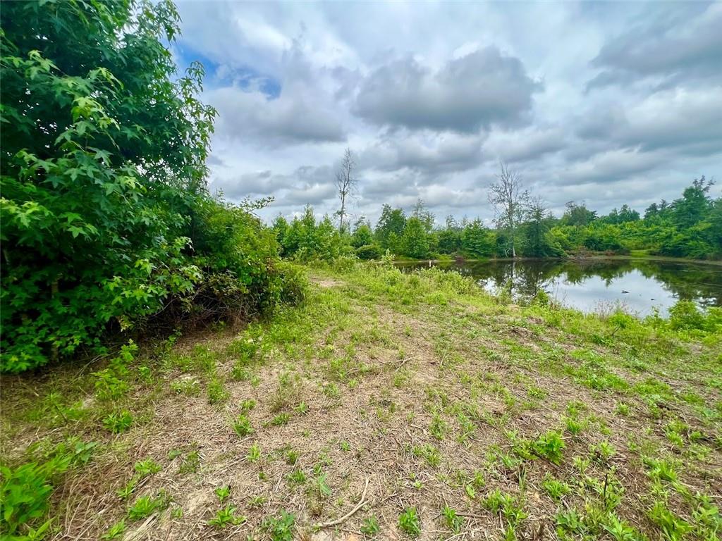 000 Folds (tract D - 22.67 Acres) Road, Carrollton, Georgia image 4