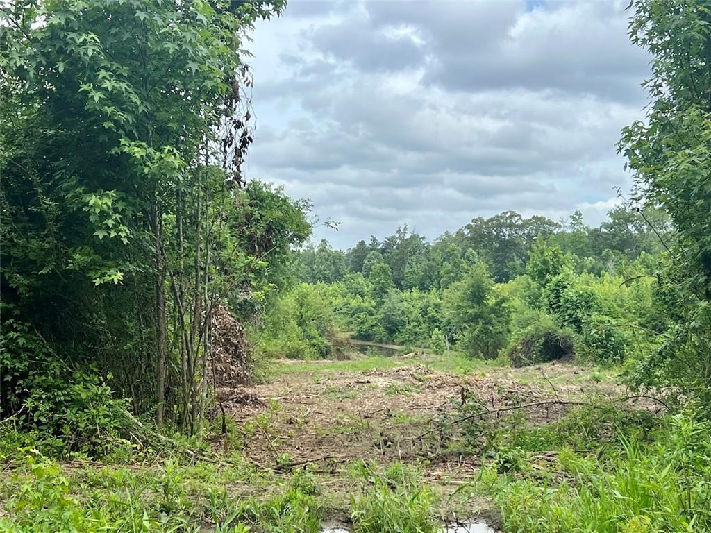 000 Folds (tract D - 22.67 Acres) Road, Carrollton, Georgia image 3