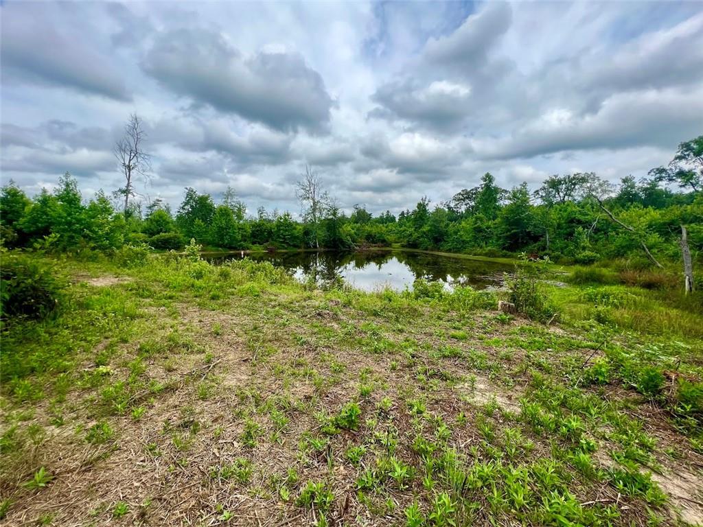 000 Folds (tract D - 22.67 Acres) Road, Carrollton, Georgia image 7