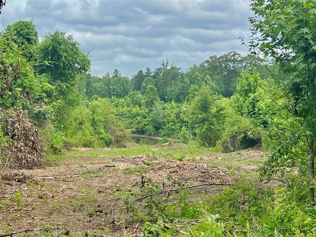 000 Folds (tract D - 22.67 Acres) Road, Carrollton, Georgia image 5