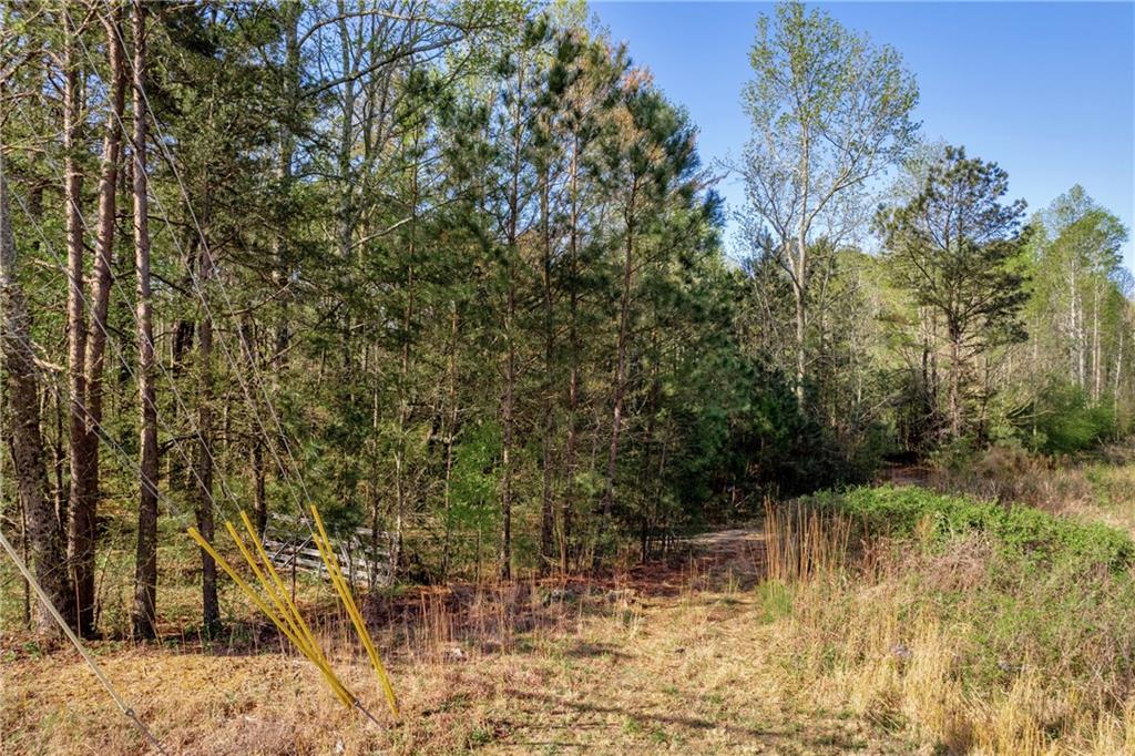 3104 Hamilton Mill Road, Buford, Georgia image 17