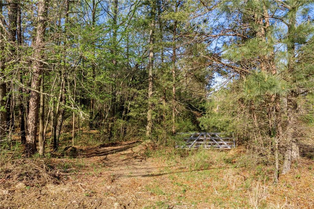 3104 Hamilton Mill Road, Buford, Georgia image 18