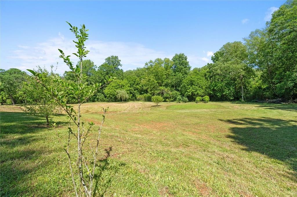 220 Mountain Creek Rd Rd, Bowdon, Georgia image 50