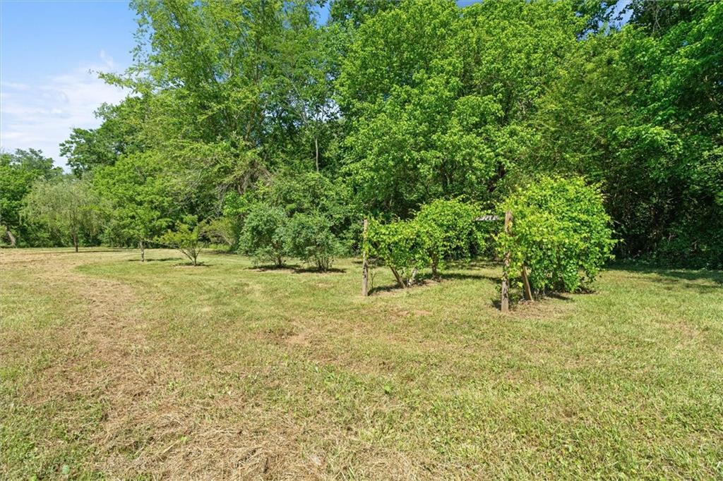 220 Mountain Creek Rd Rd, Bowdon, Georgia image 48
