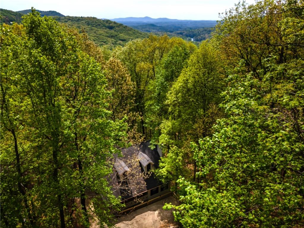 279 Bella Vista Trail, Jasper, Georgia image 49
