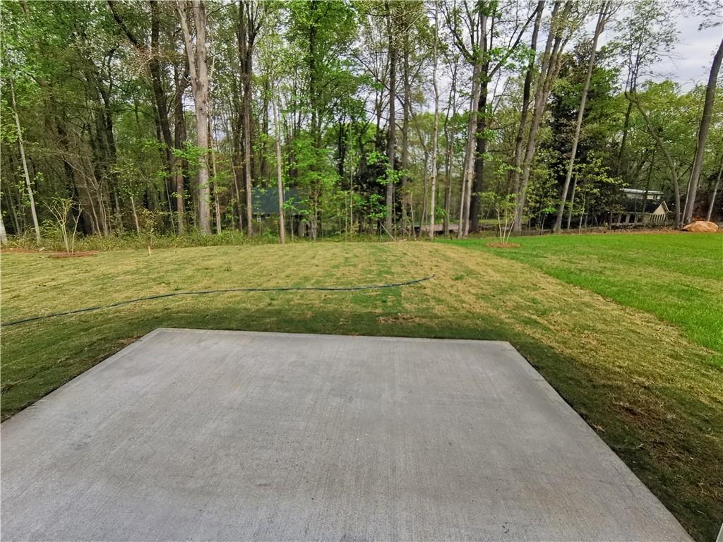 125 Horned Owl Avenue, Braselton, Georgia image 32