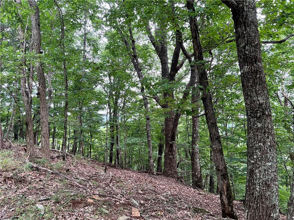 3394 Bella Vista Trail, Jasper, Georgia image 4