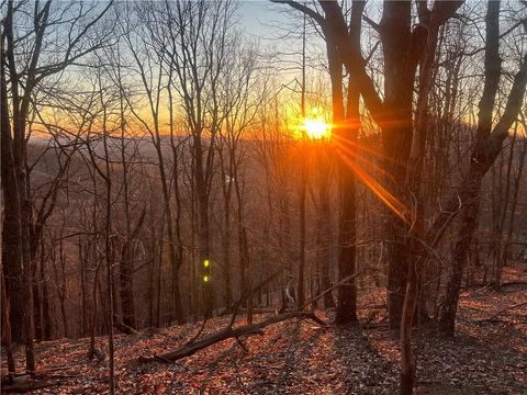 Vacant Land For Sale - 3394 Bella Vista Trail<br/> Jasper, GA 30143