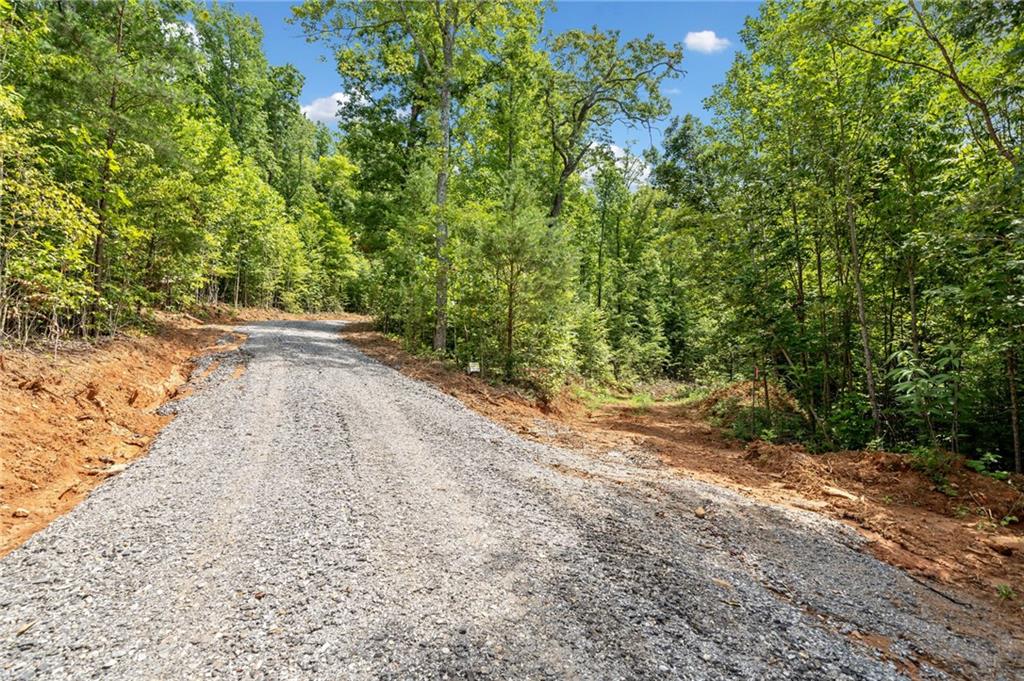 00000 Tom Wheeler Road, Hiawassee, Georgia image 30