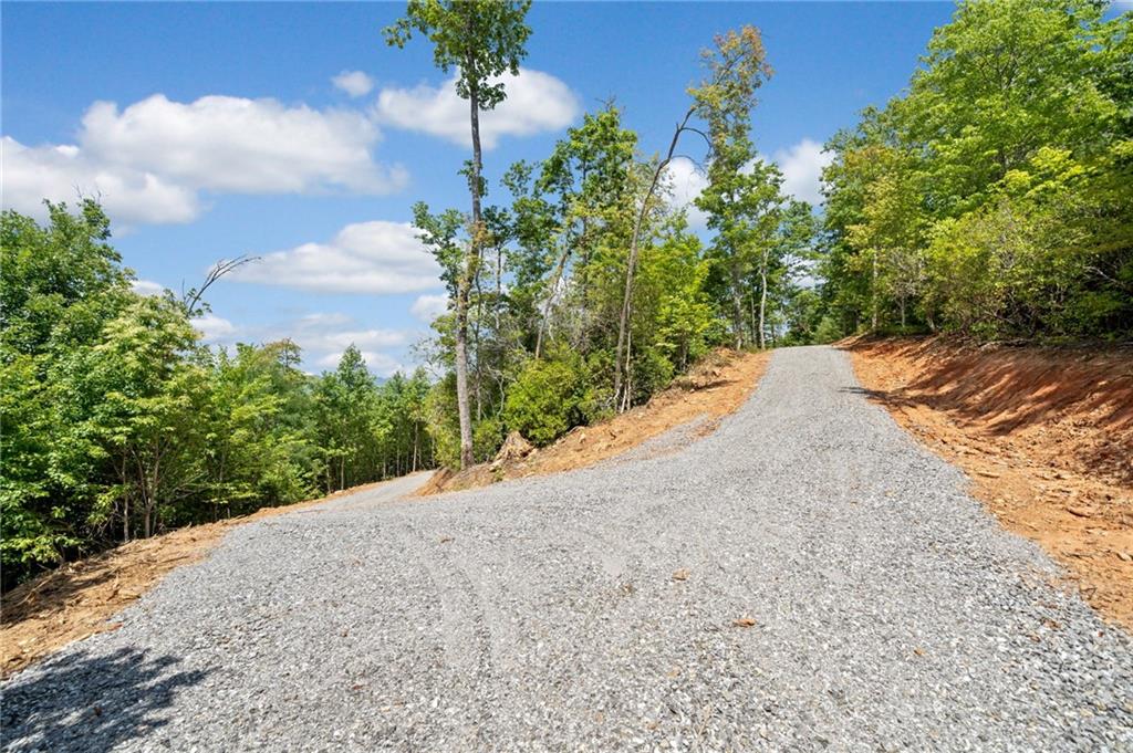 00000 Tom Wheeler Road, Hiawassee, Georgia image 13