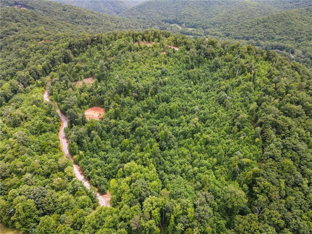 00000 Tom Wheeler Road, Hiawassee, Georgia image 31