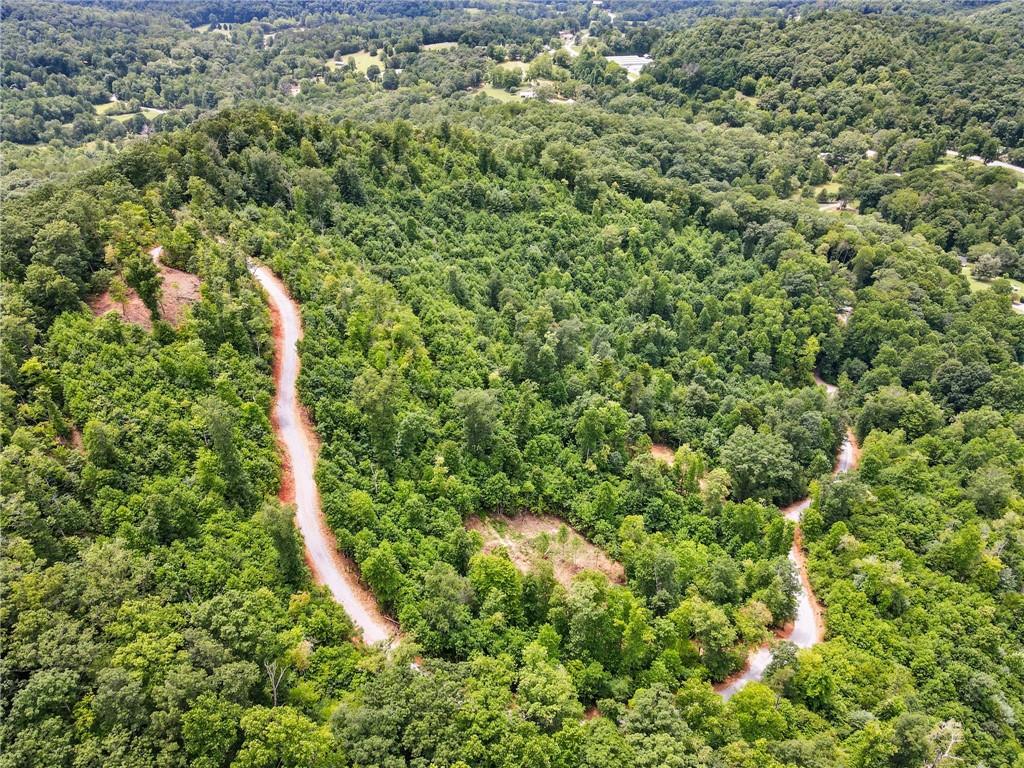 00000 Tom Wheeler Road, Hiawassee, Georgia image 34