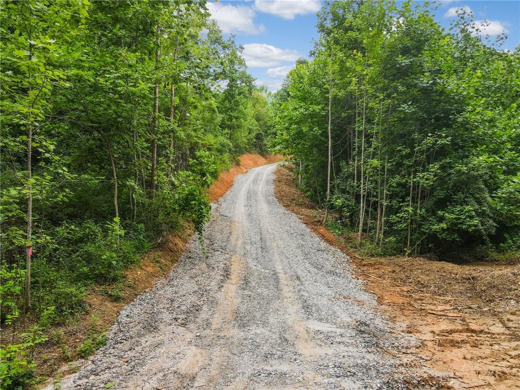 00000 Tom Wheeler Road, Hiawassee, Georgia image 5