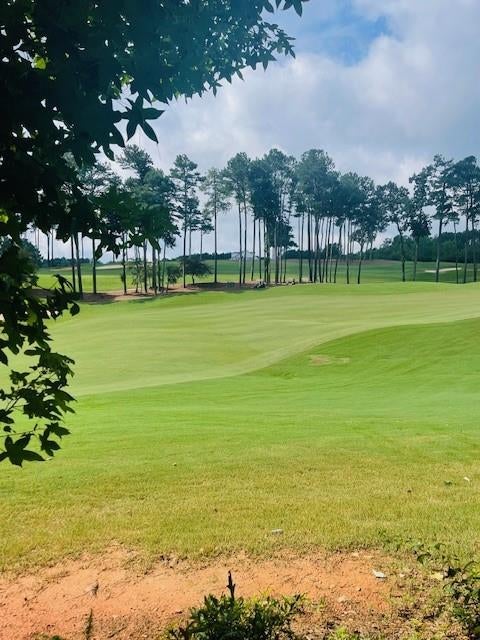 Vacant Land For Sale - 124 Hawks Court<br/> Cherokee County, Ball Ground, GA 30107