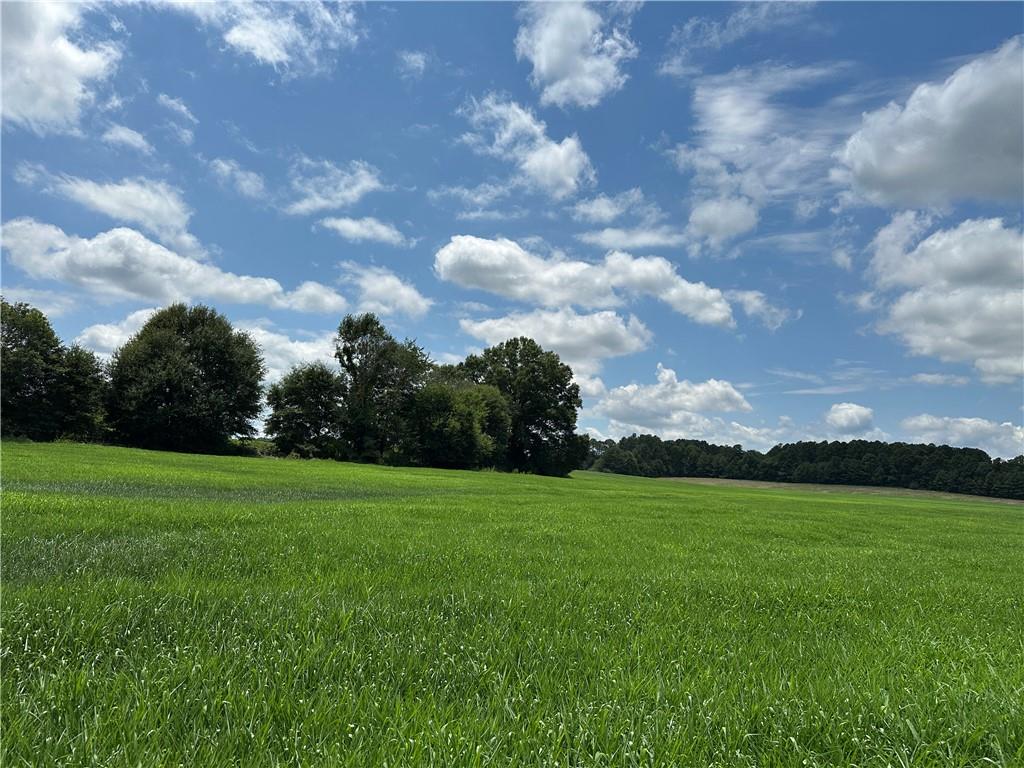 0 Taylorsville Macedonia/Miller Farm Road