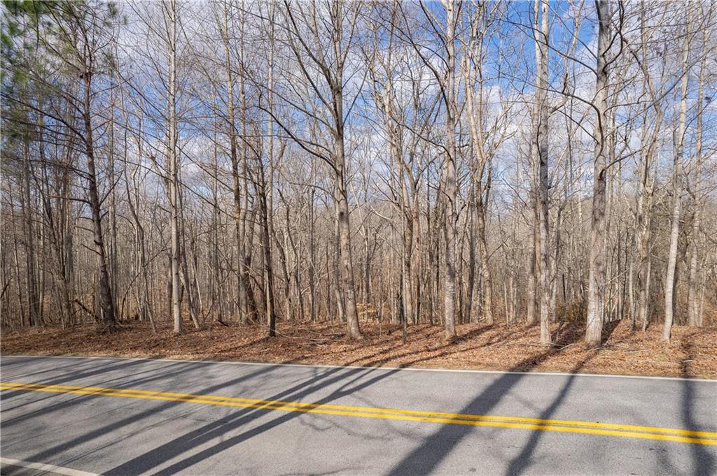 LL247 Grizzle Road, Dawsonville, Georgia image 7