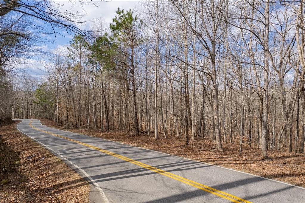 LL247 Grizzle Road, Dawsonville, Georgia image 6