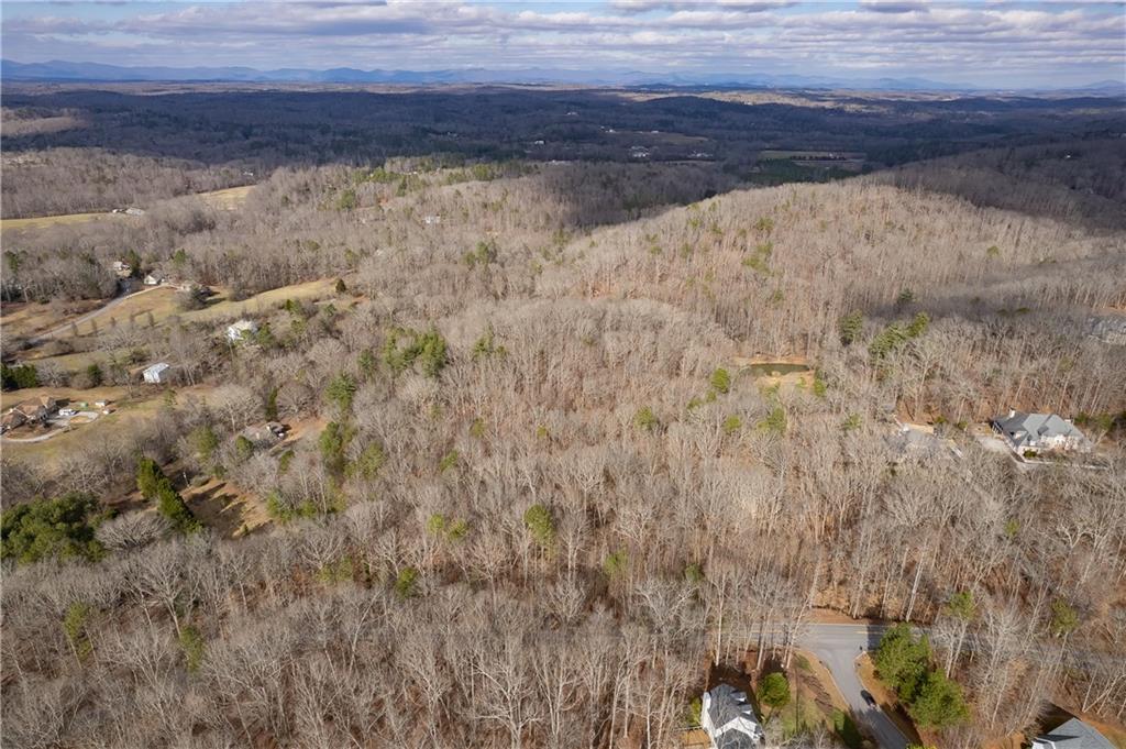 LL247 Grizzle Road, Dawsonville, Georgia image 4