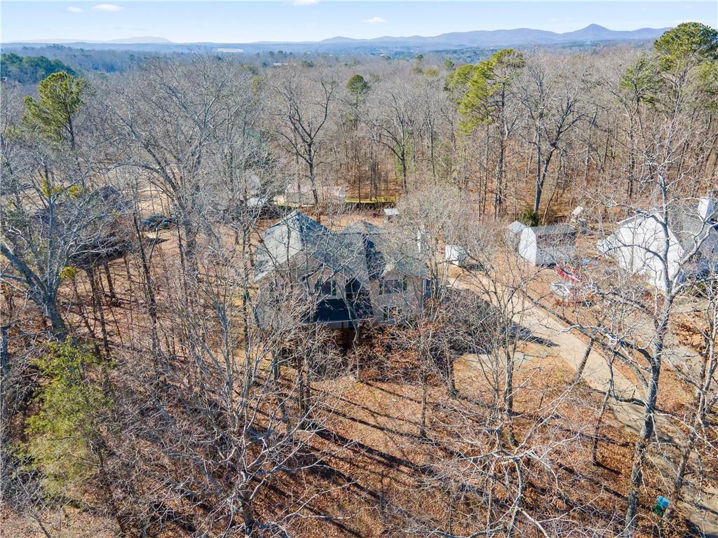 98 Ivy Ridge Drive, Jasper, Georgia image 34