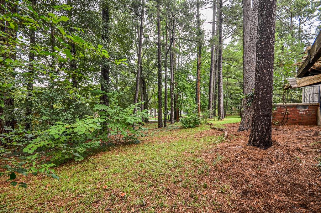 1705 Atherton Drive, Decatur, Georgia image 41