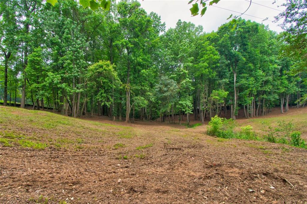 Union Hill Rd 4.97 Acres, Canton, Georgia image 1