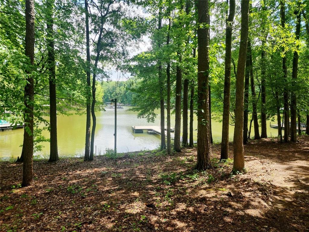136 Greenock Cove, Toccoa, Georgia image 29