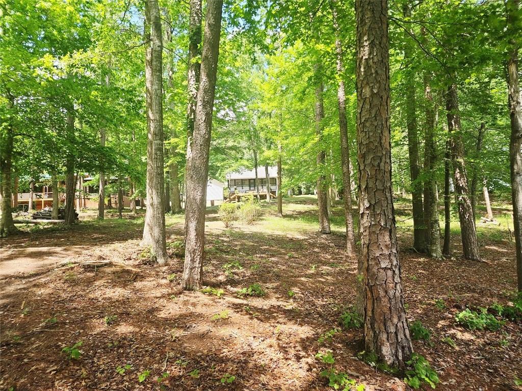 136 Greenock Cove, Toccoa, Georgia image 30
