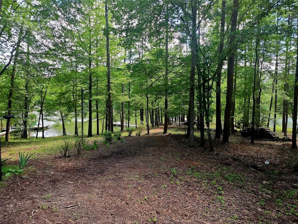 136 Greenock Cove, Toccoa, Georgia image 27