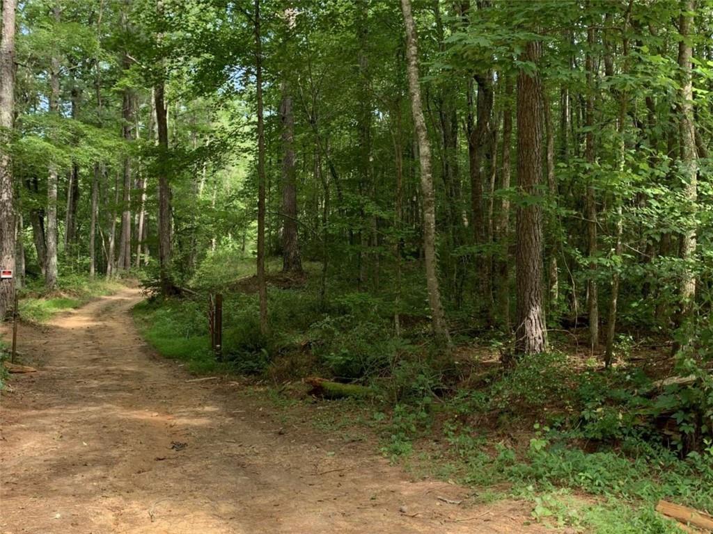 0 County Road 14
