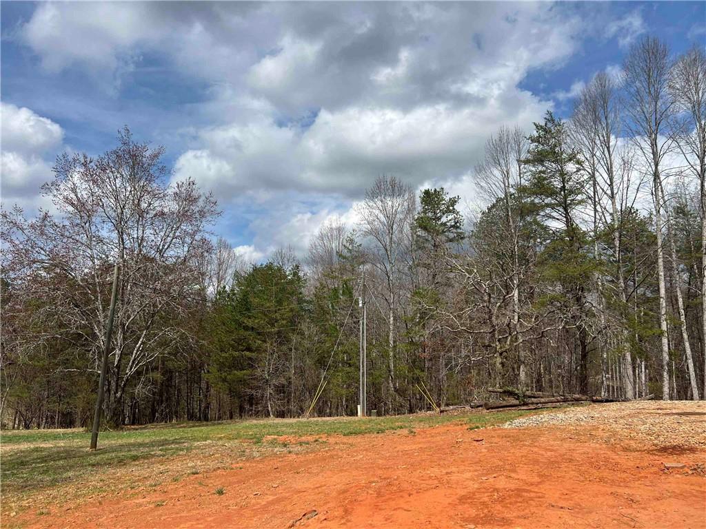 1672 Grindle Bridge Rd, Dahlonega, Georgia image 26