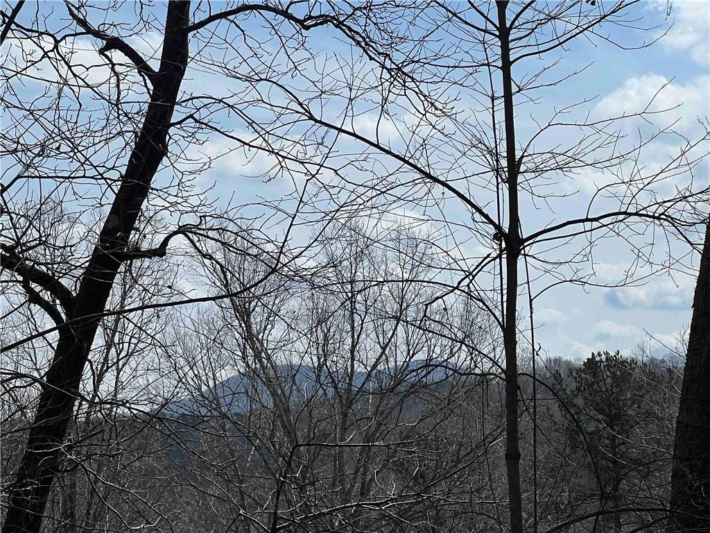 1672 Grindle Bridge Rd, Dahlonega, Georgia image 30