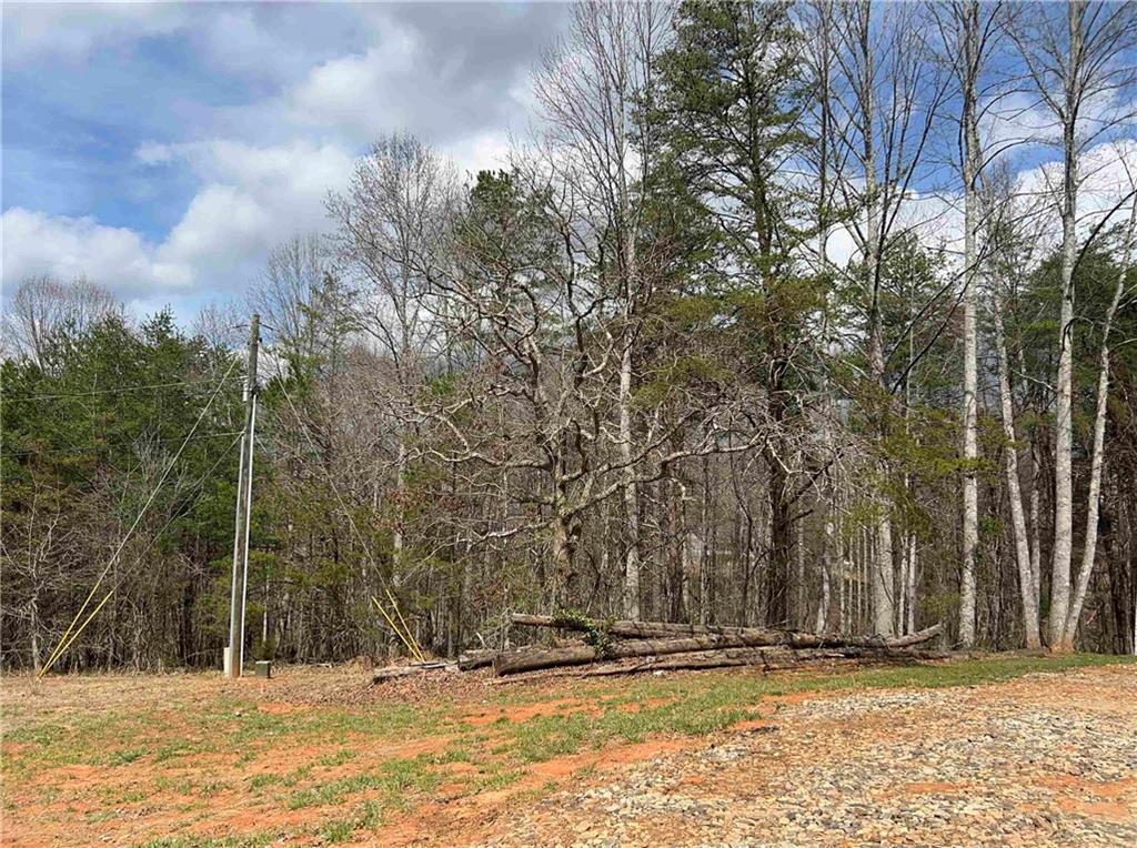 1672 Grindle Bridge Rd, Dahlonega, Georgia image 27