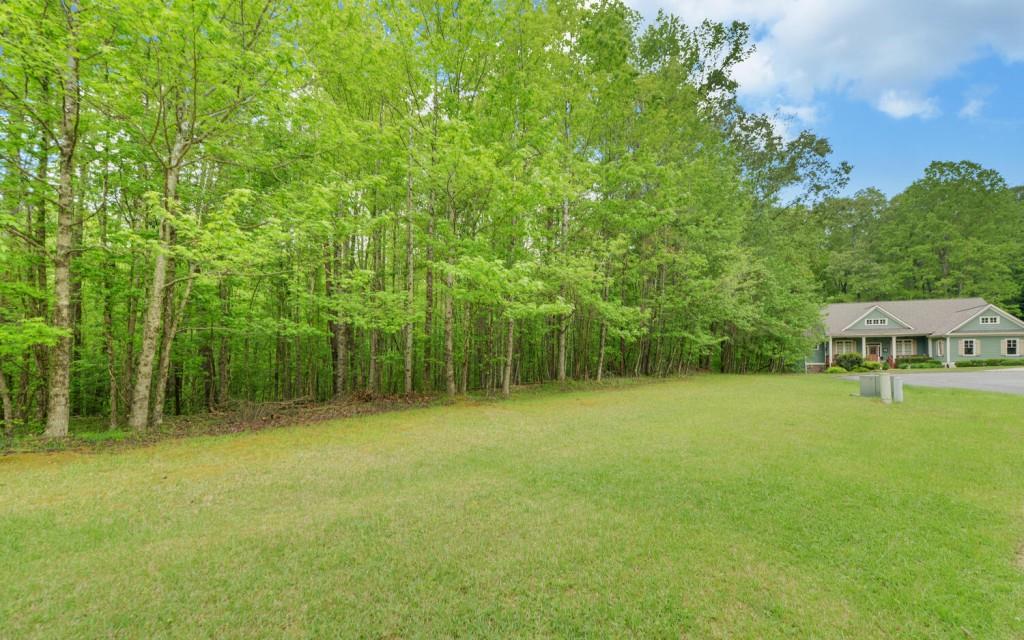 Honey Tree Terrace, Dahlonega, Georgia image 4