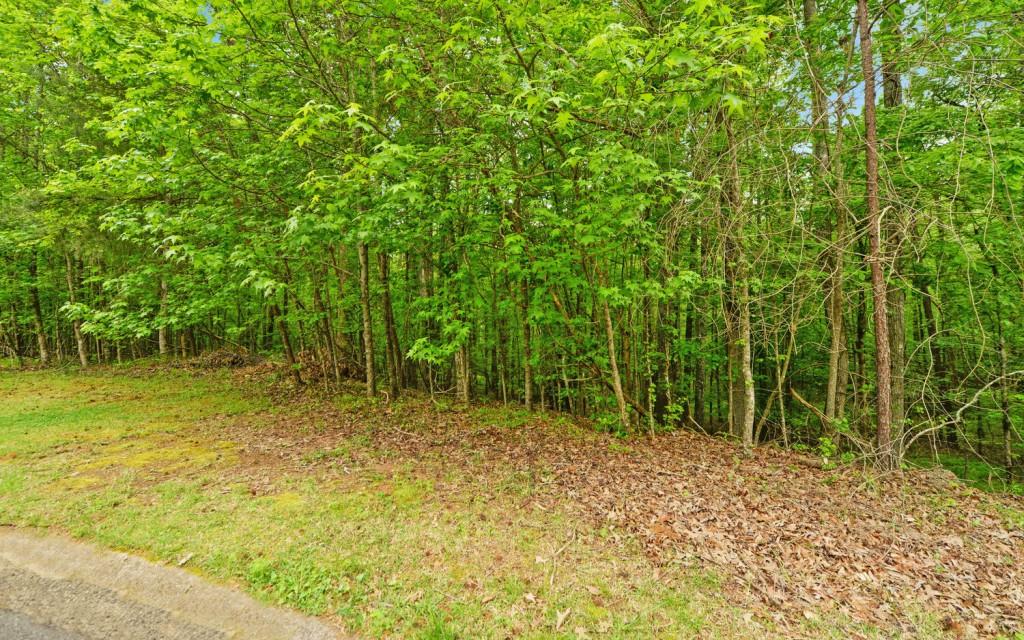 Honey Tree Terrace, Dahlonega, Georgia image 5