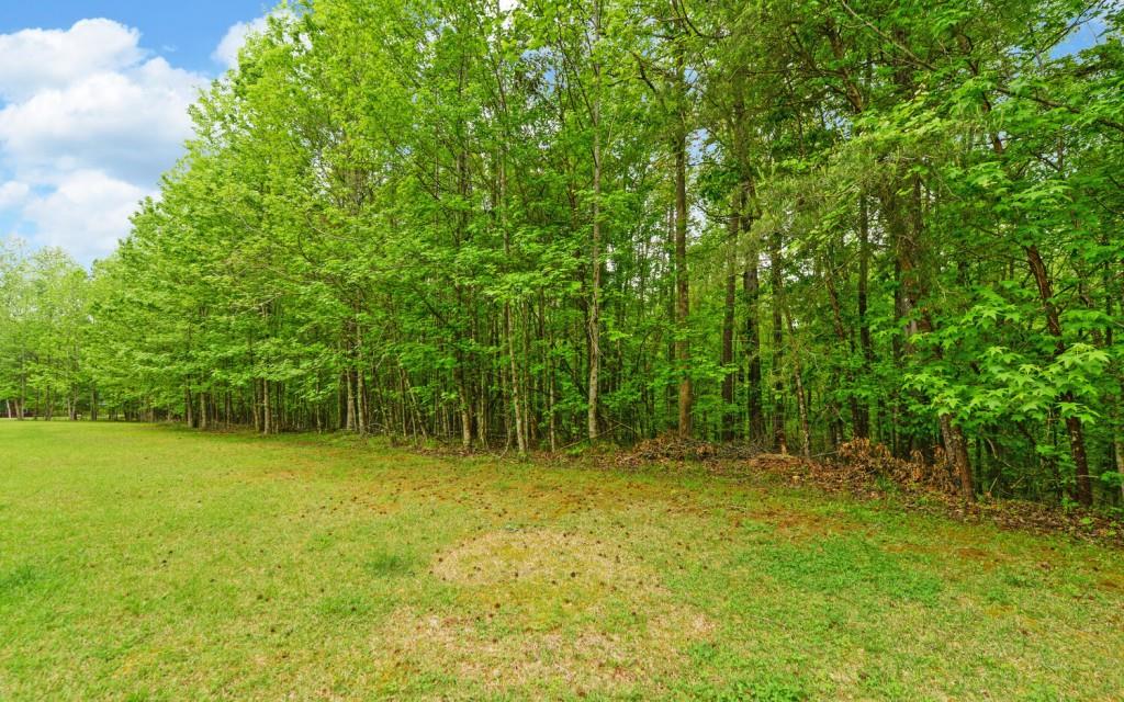 Honey Tree Terrace, Dahlonega, Georgia image 6