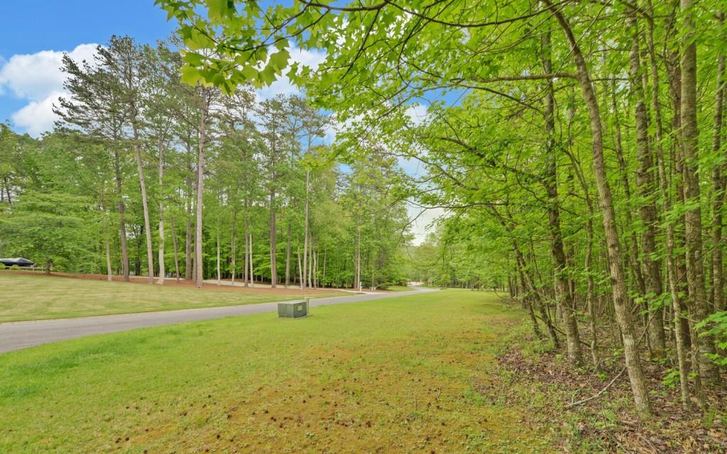 Honey Tree Terrace, Dahlonega, Georgia image 7