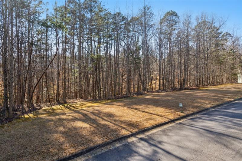 Honey Tree Terrace, Dahlonega, Georgia image 31