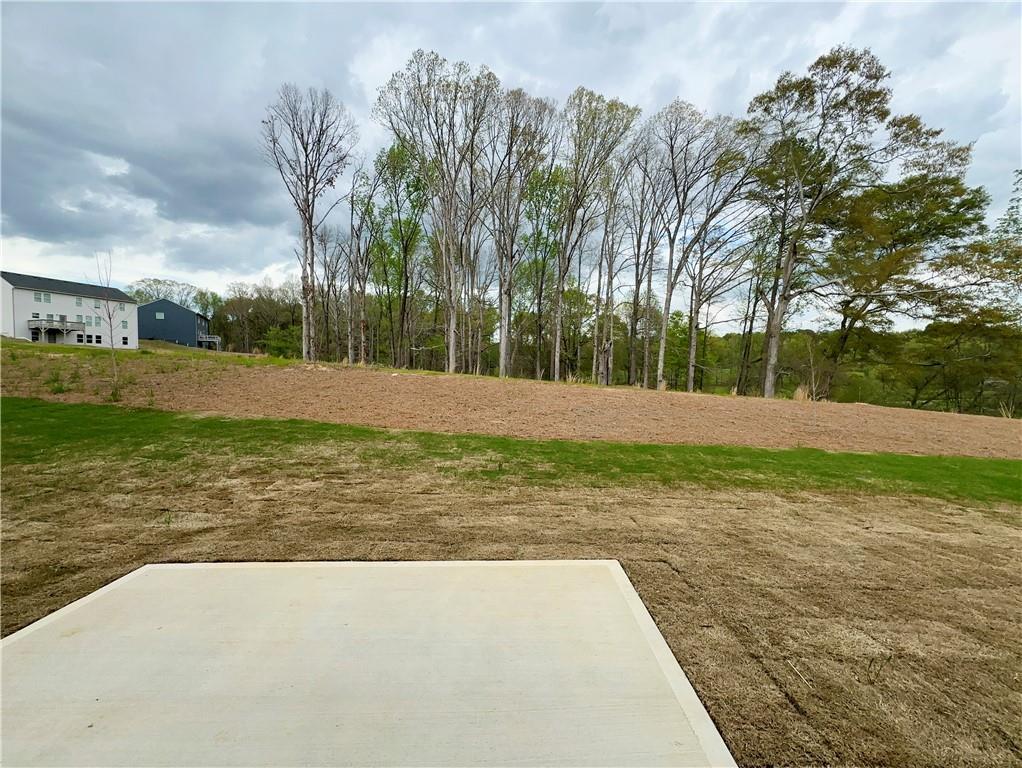 445 Fox Creek Drive, Braselton, Georgia image 24