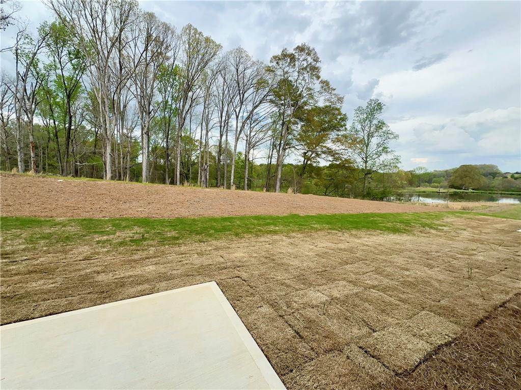 445 Fox Creek Drive, Braselton, Georgia image 25