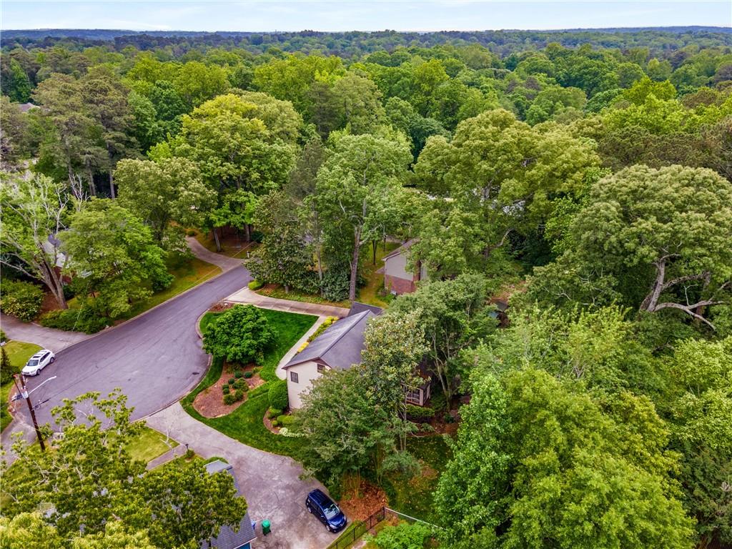 4716 N Springs Court, Atlanta, Georgia image 32