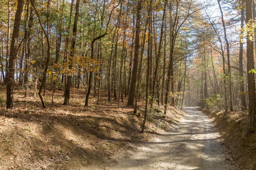 TR 1 Old Anderson Creek