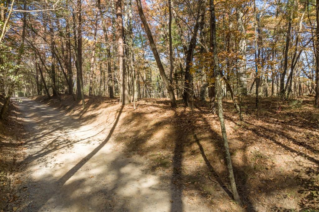 TR 1 Old Anderson Creek