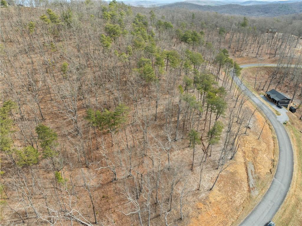 Lot 17 High Summit Drive, Talking Rock, Georgia image 16