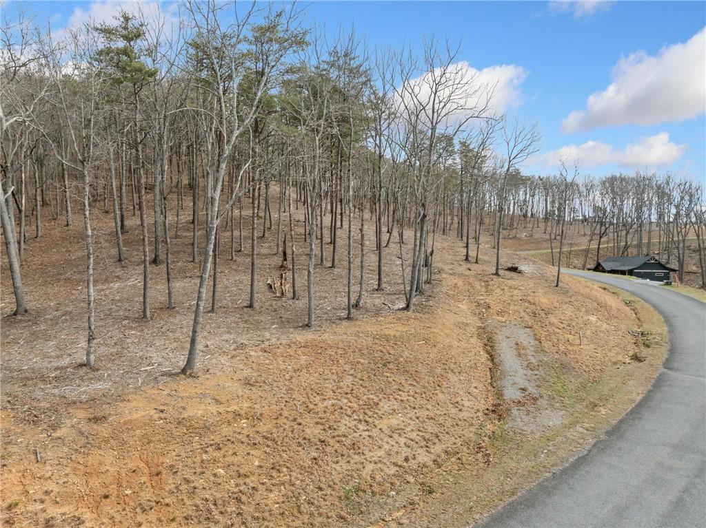 Lot 17 High Summit Drive, Talking Rock, Georgia image 14