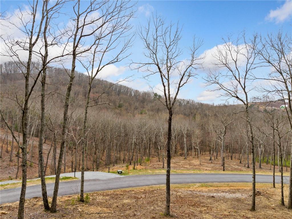 Lot 17 High Summit Drive, Talking Rock, Georgia image 27