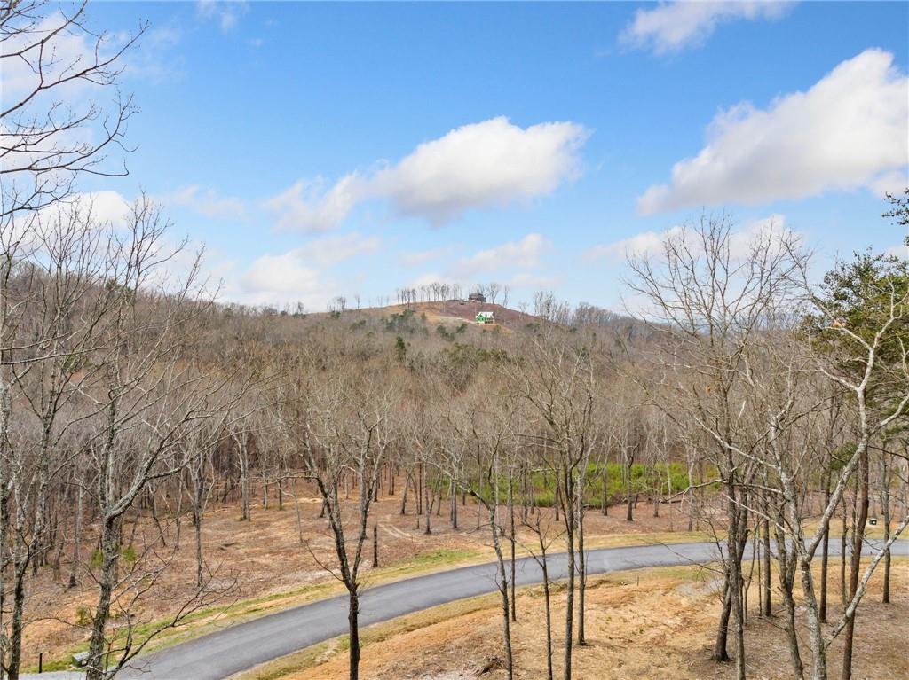 Lot 17 High Summit Drive, Talking Rock, Georgia image 29